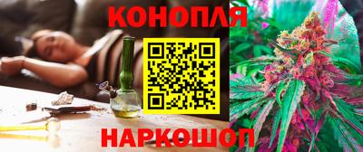 spice Дубна