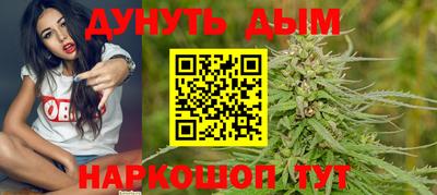 spice Дубна