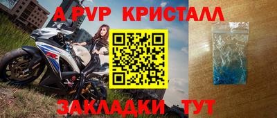 стаф Донской