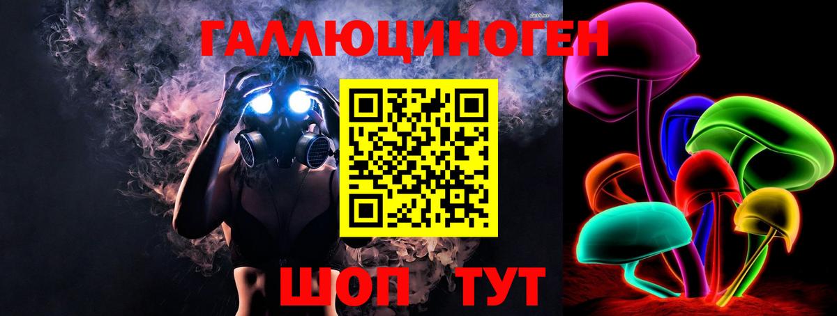 Галлюциногенные грибы Psilocybe Кстово