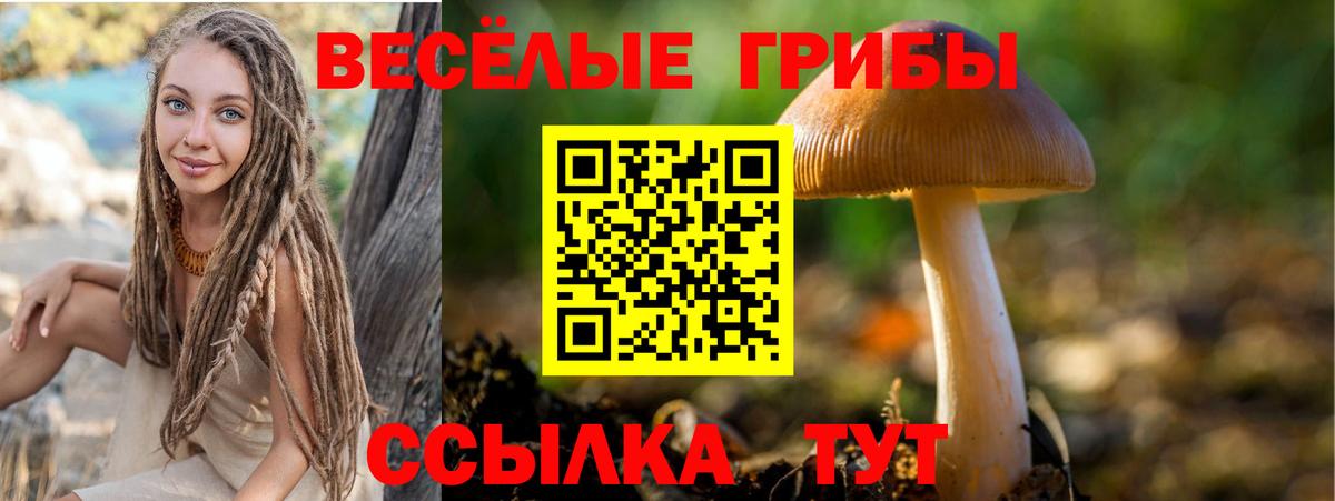 Галлюциногенные грибы ЛСД  Вход с VPN  Галлюциногенные грибы мухоморы  Кстово 